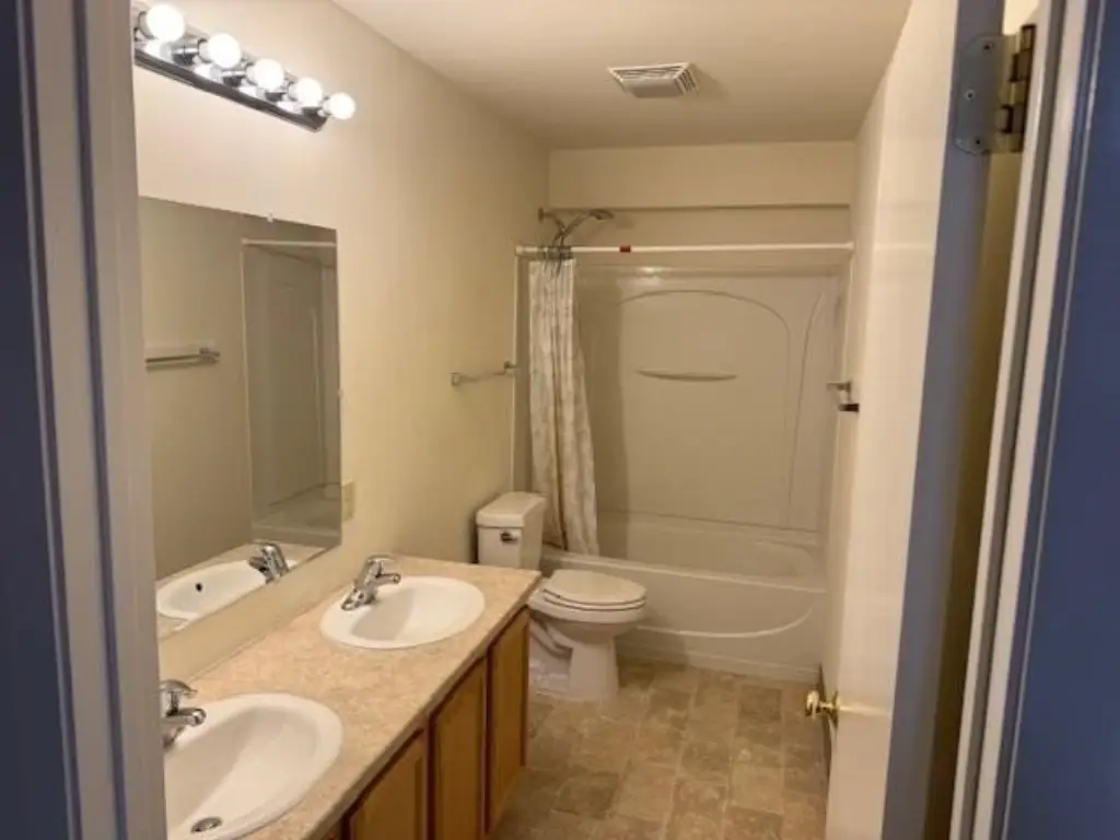 Picture 17