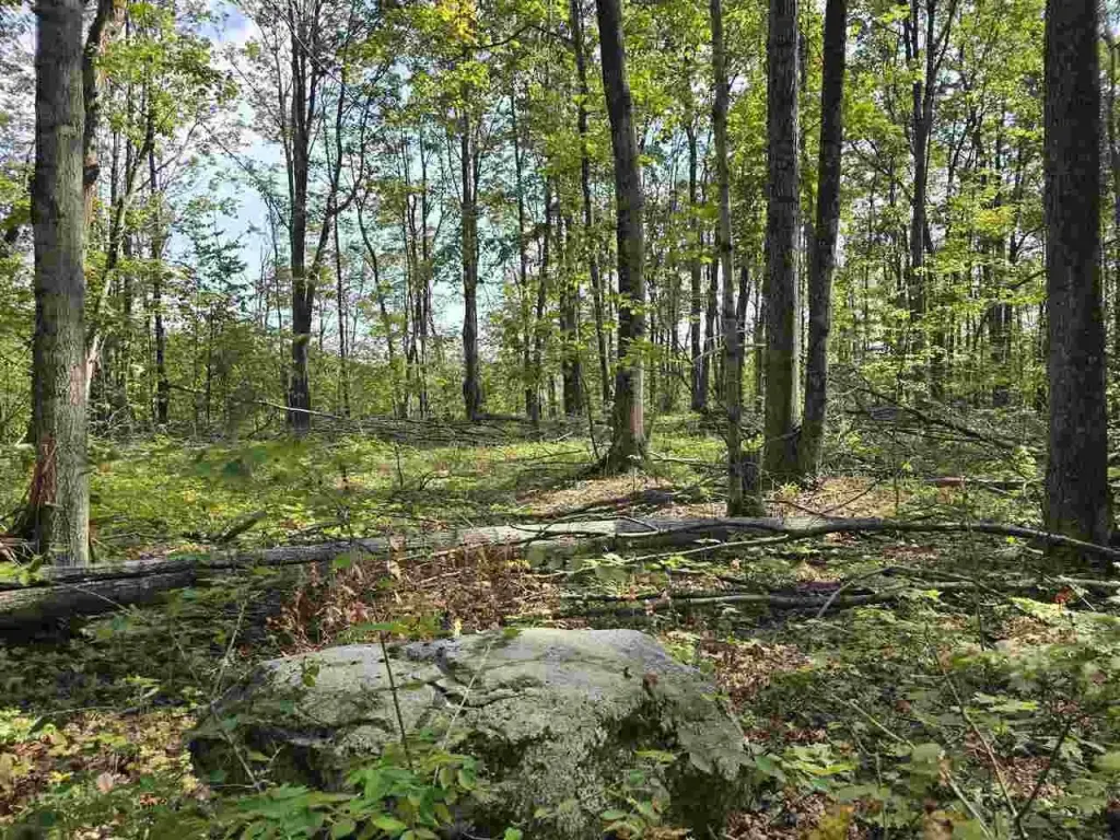 Picture 36
