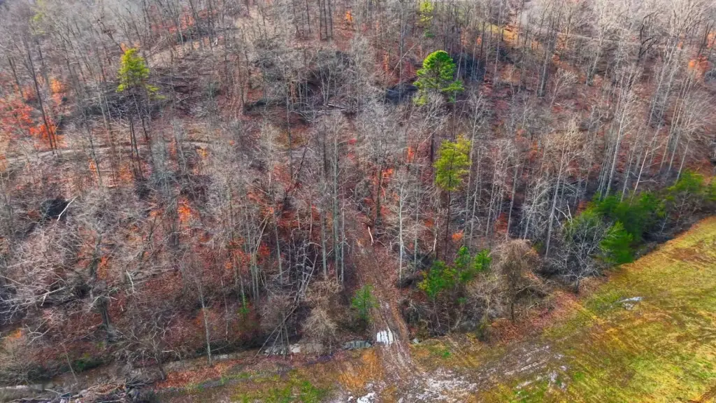 Picture 2
