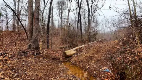 Hunting Land with On-Site Water Source