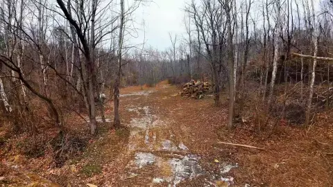 Recreation Land Tract with Caves