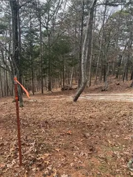 Eureka Springs Land Opportunity