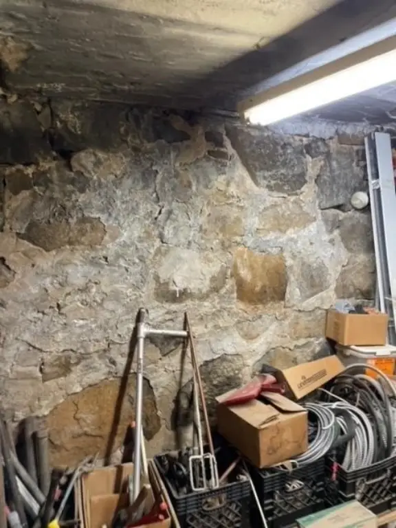Picture 5
