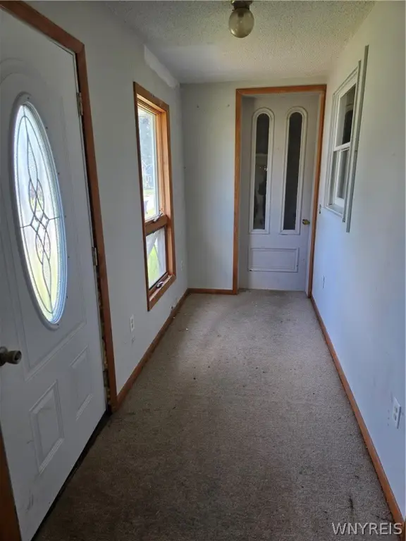 Picture 24