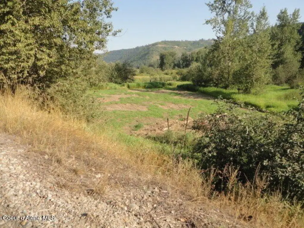 Picture 27