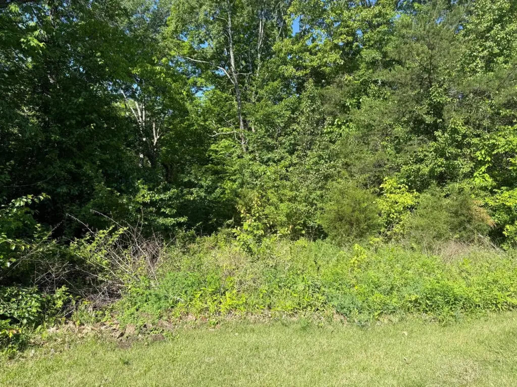 Picture 3