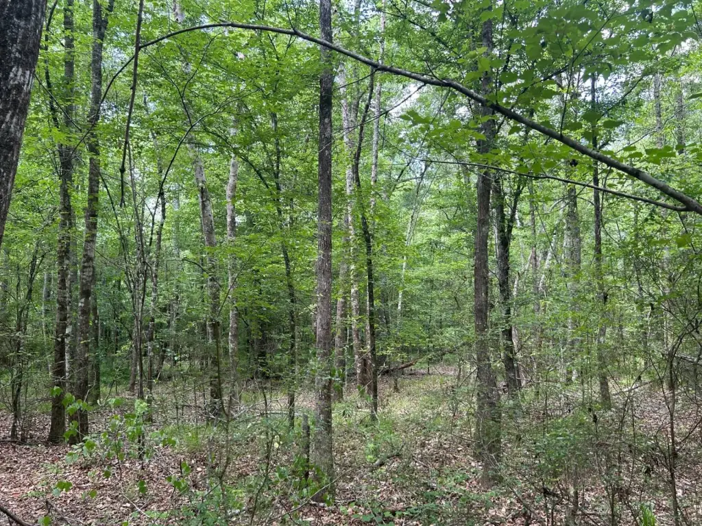 Picture 39