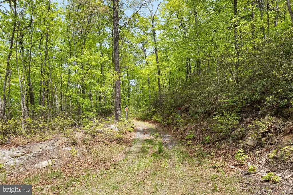 Picture 22