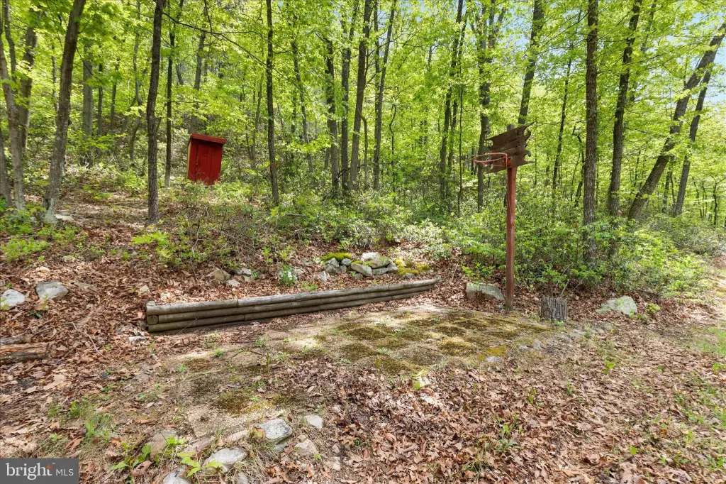 Picture 16