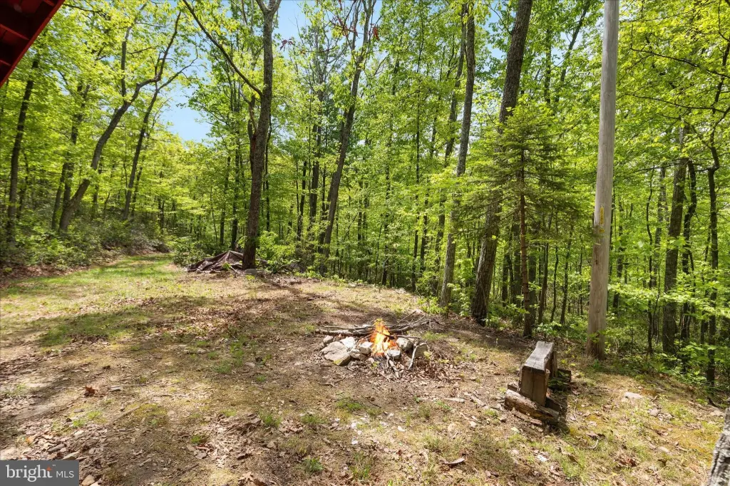 Picture 21