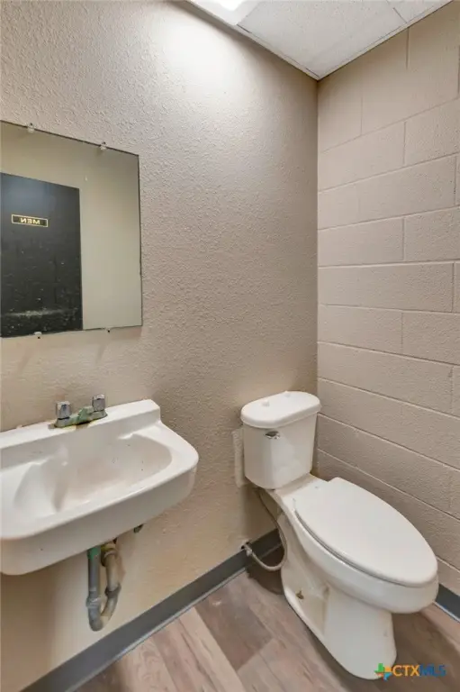 Picture 16