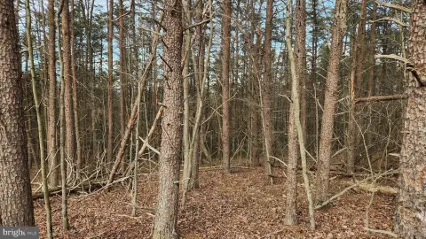 27.2 Acres Wooded Land