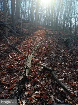 CUMBERLAND Land For Sale