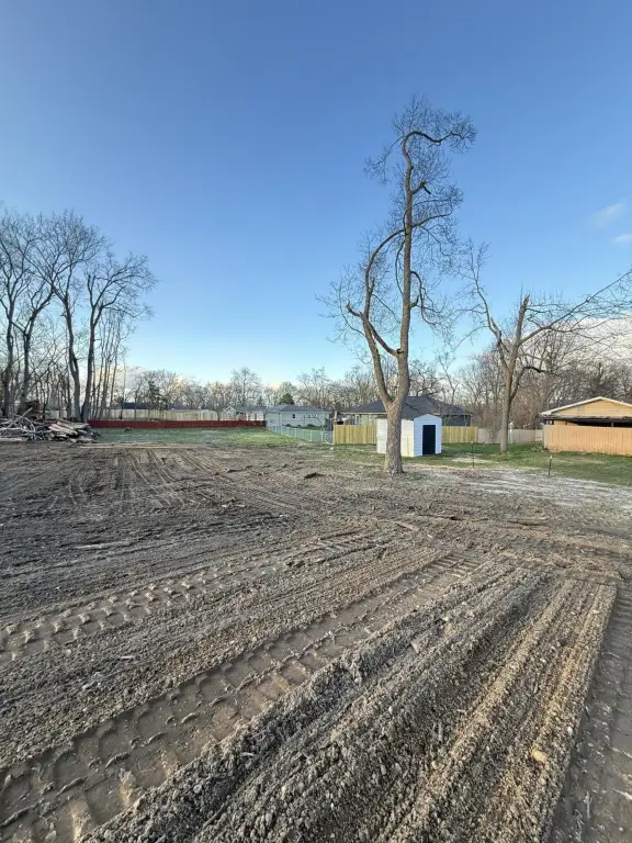 Picture 3