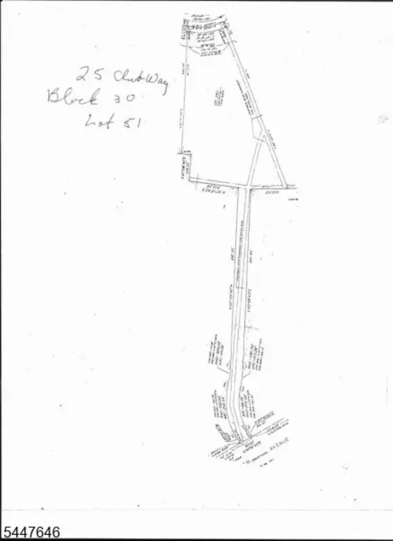 Picture 4