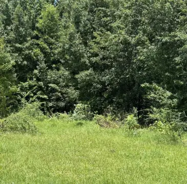 Residential Lot in Quiet Cul-de-Sac