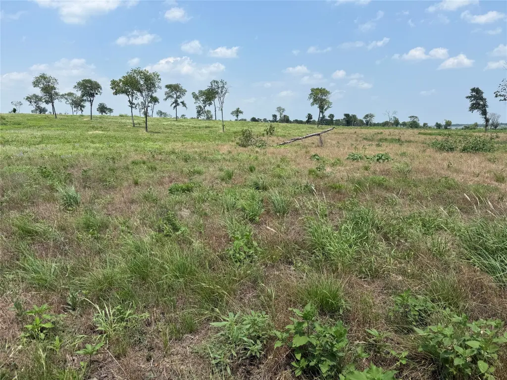 Picture 17
