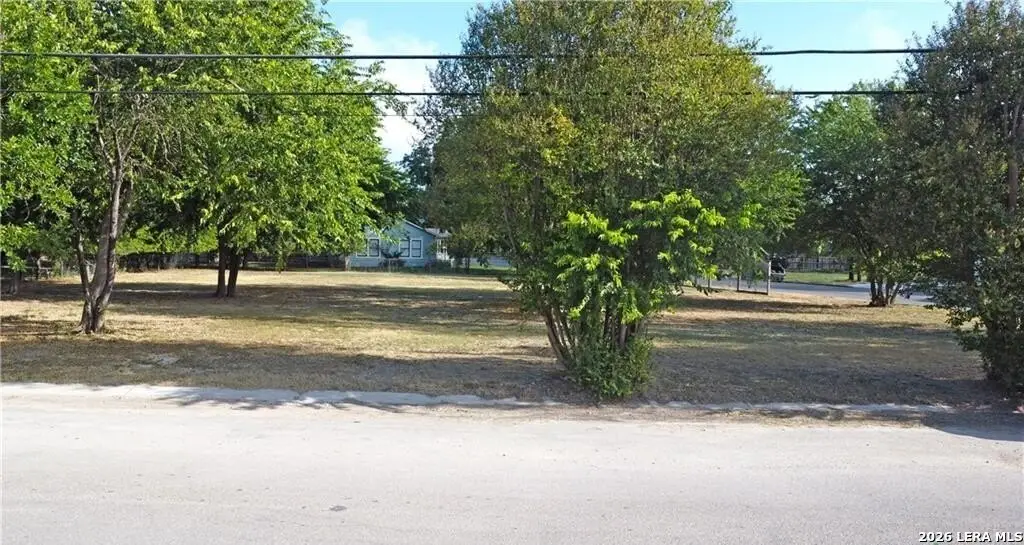 Picture 13