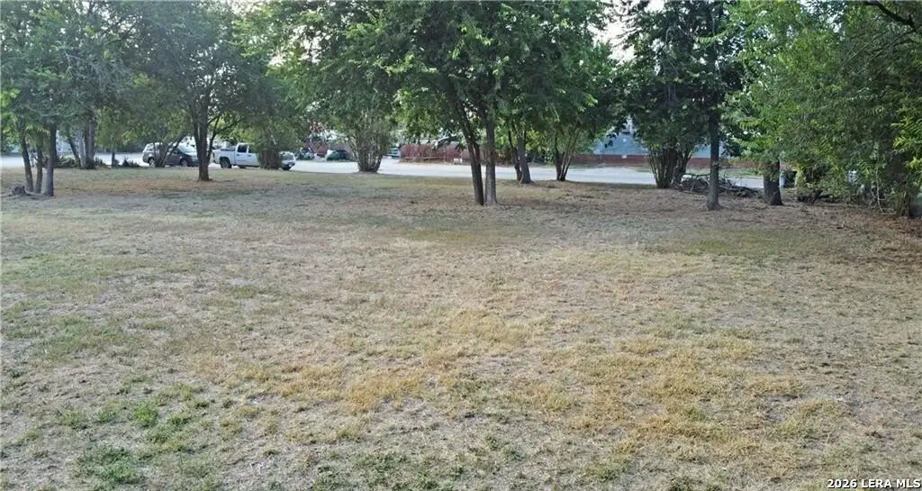 Picture 12