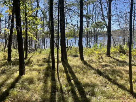 Waterfront Land on Pigeon Lake