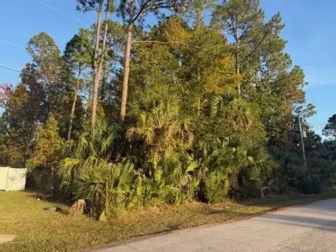 Oversized Lots in Palm Coast