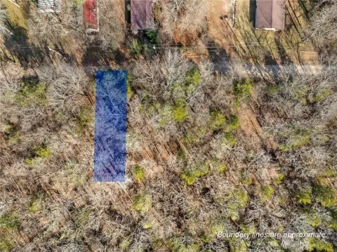 Diamond City Lot Near Lake