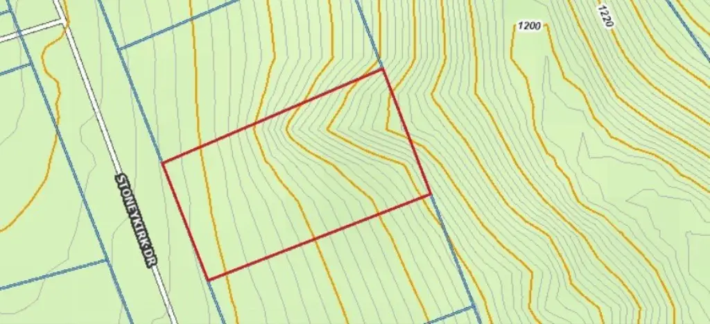 Picture 6