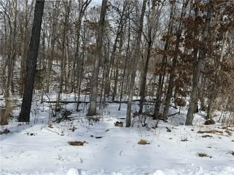 Wooded Lot in Bella Vista