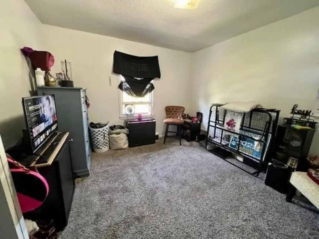 Picture 5