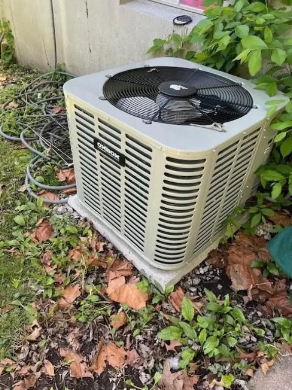 Picture 10