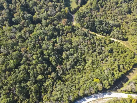 Wooded Land Near Berryville, Arkansas