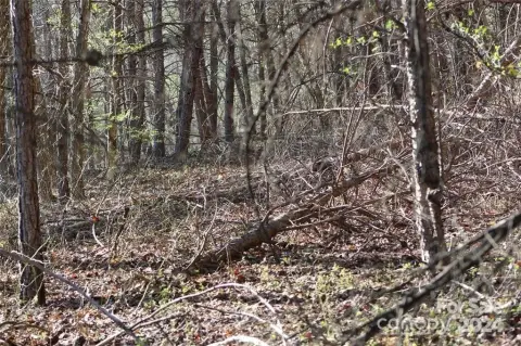 Marion, NC Land Opportunity