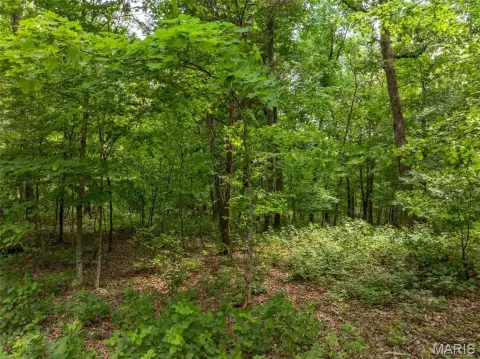 Innsbrook Resort Cottage Lot