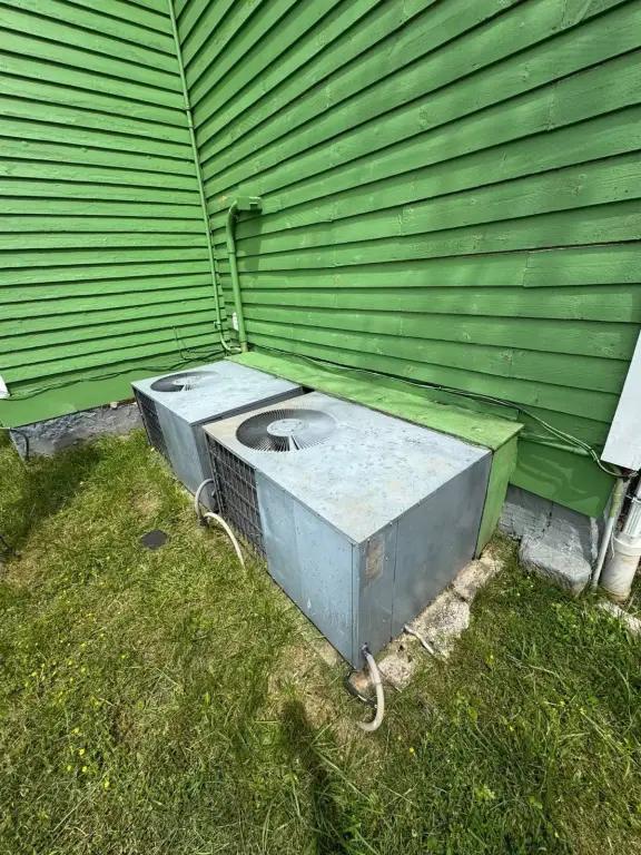 Picture 49