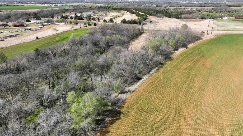 Picture 17