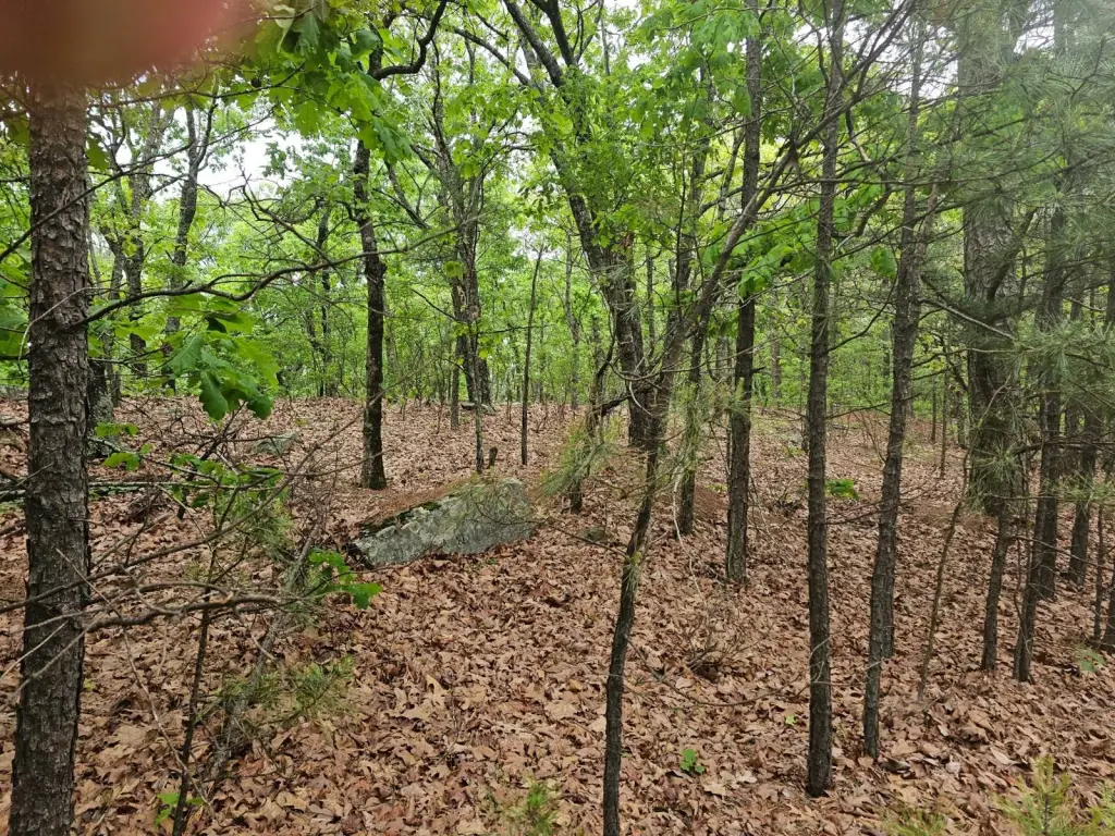 Picture 2