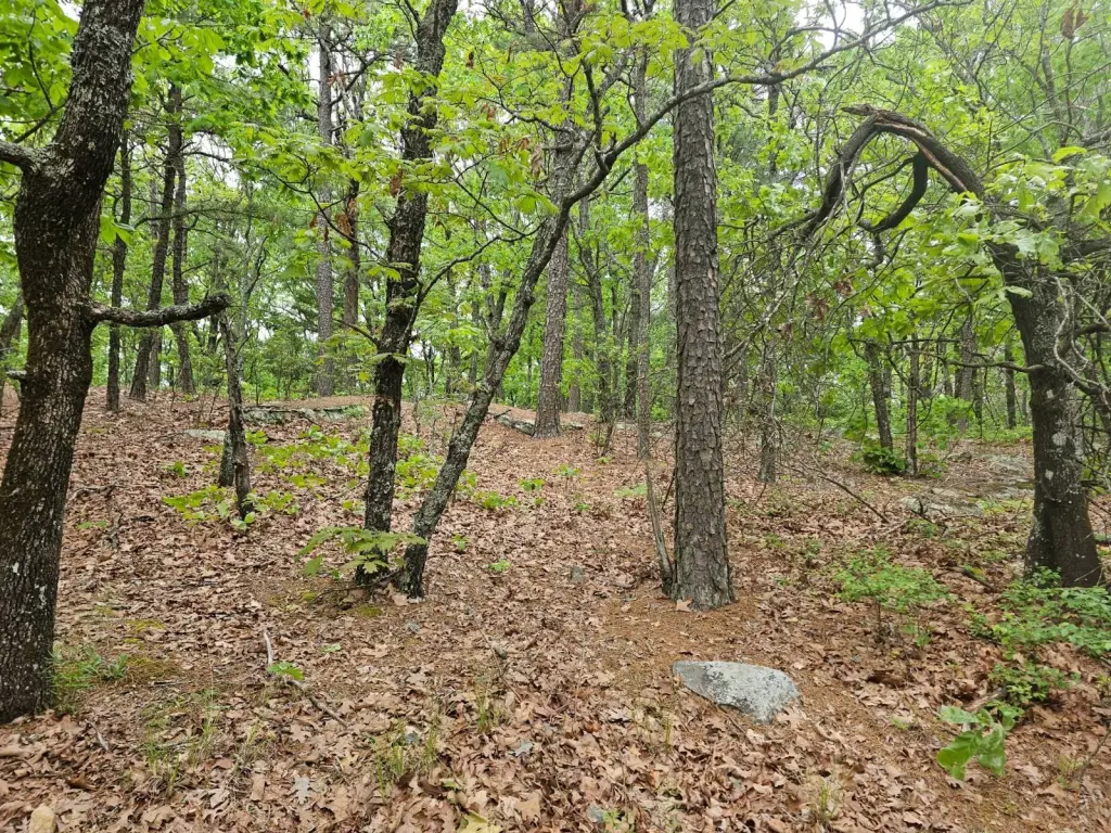 Picture 3