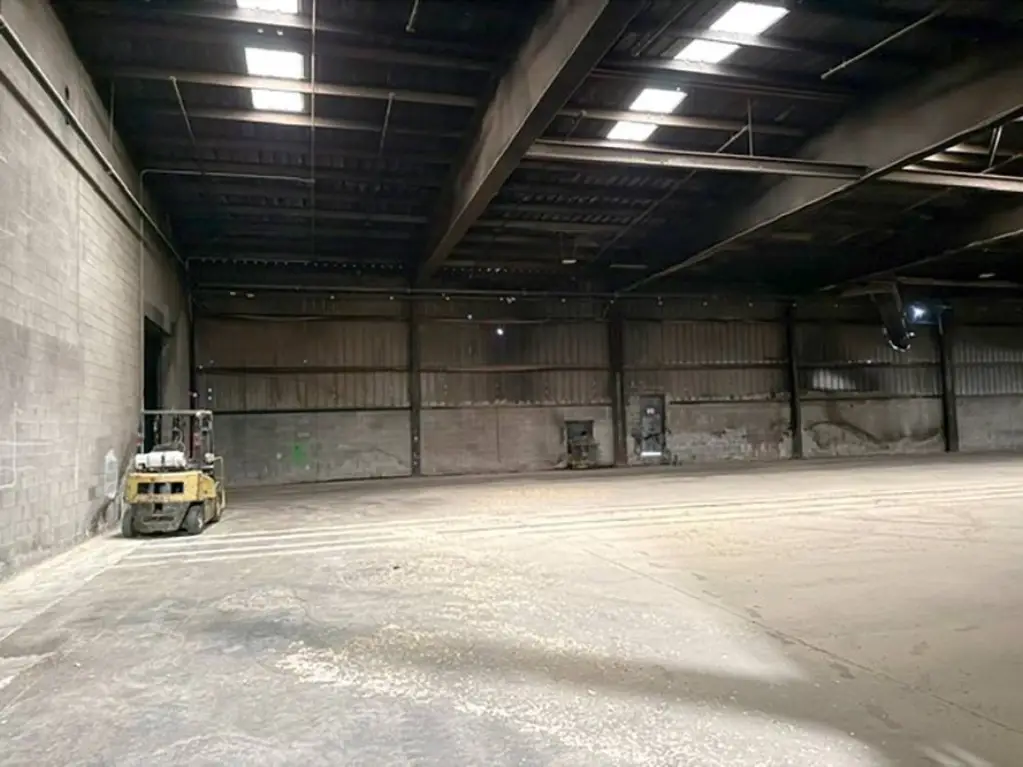 Picture 5
