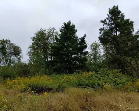 Hunting Land with Deer Blind