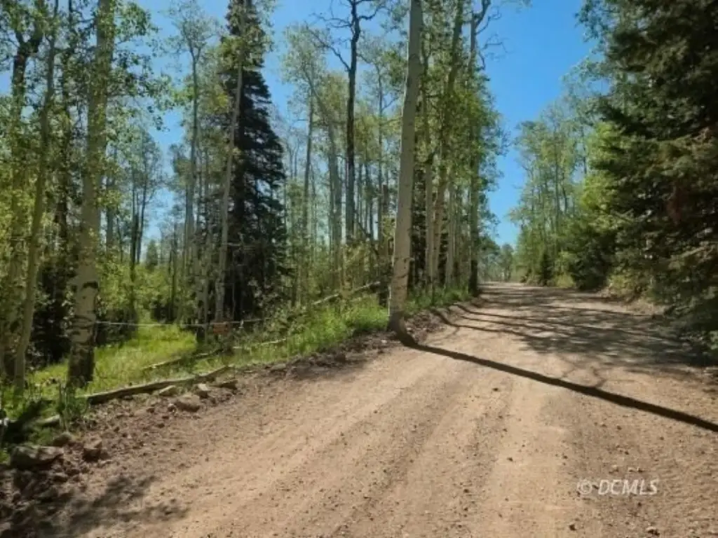 Picture 22