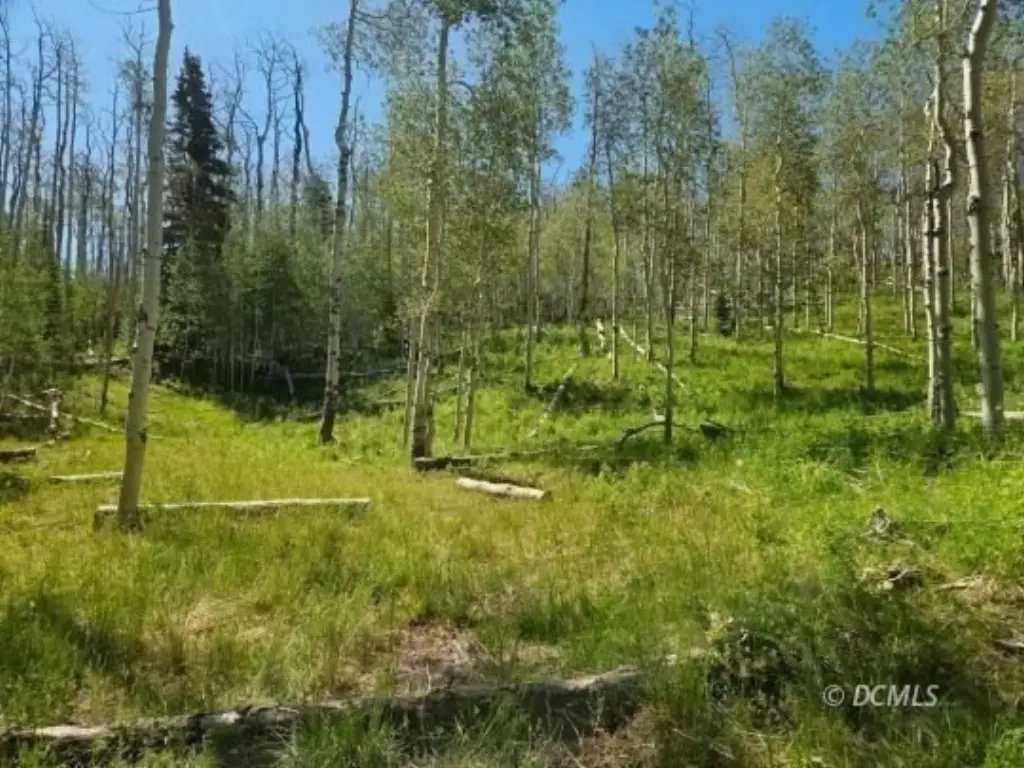 Picture 12