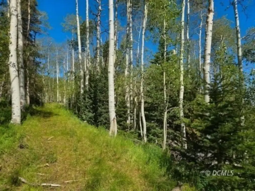 Picture 20