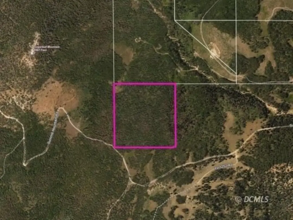 Picture 32
