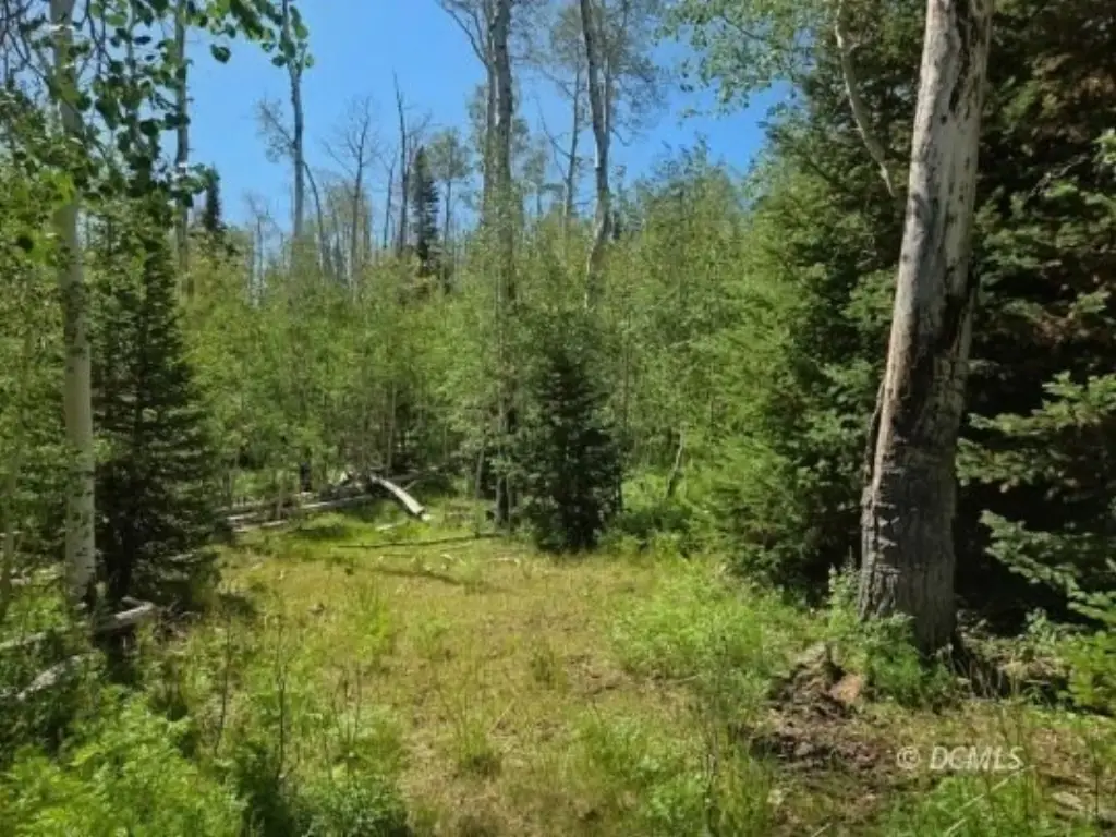 Picture 13