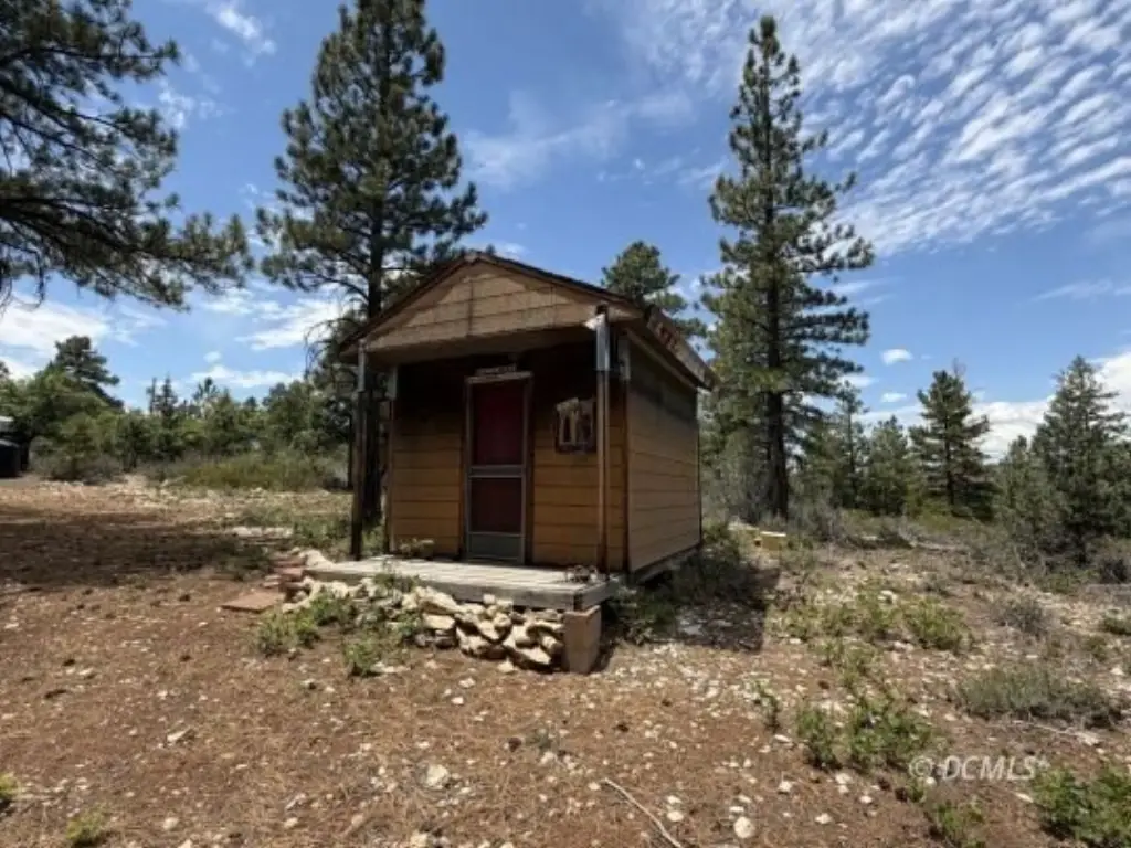Picture 6