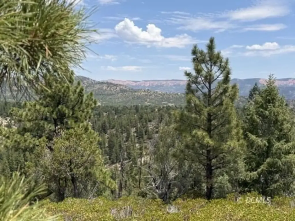 Picture 36