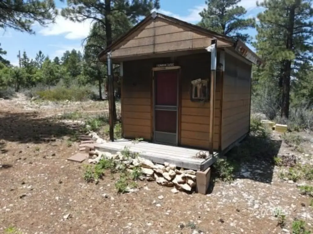 Picture 24