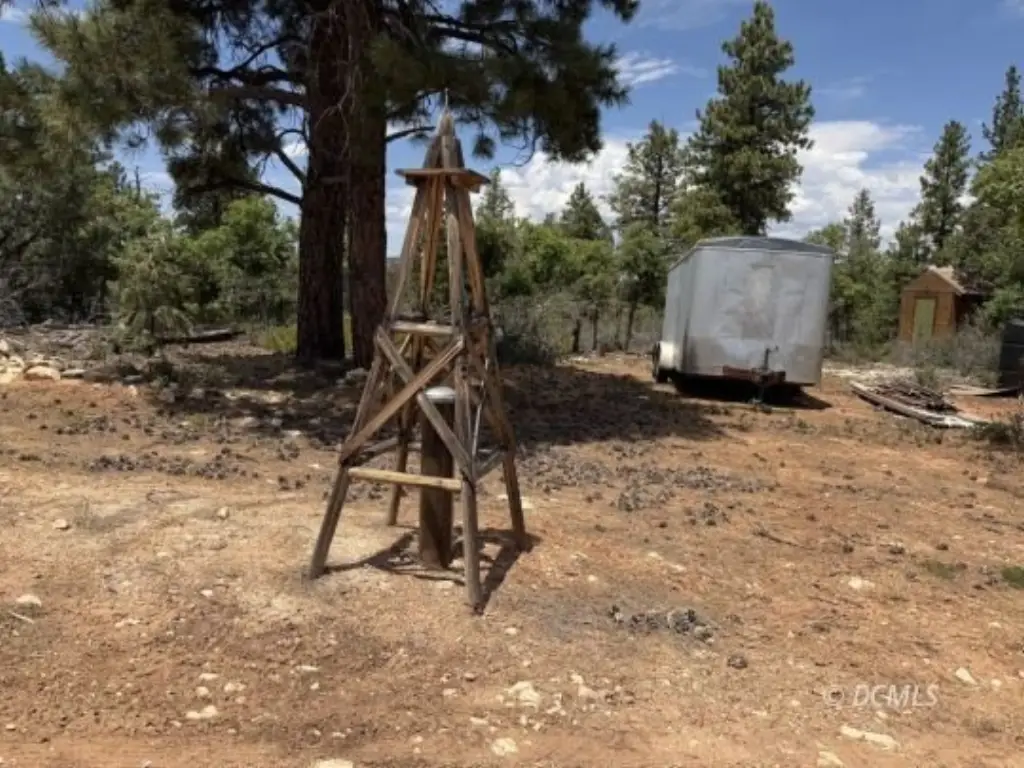 Picture 32