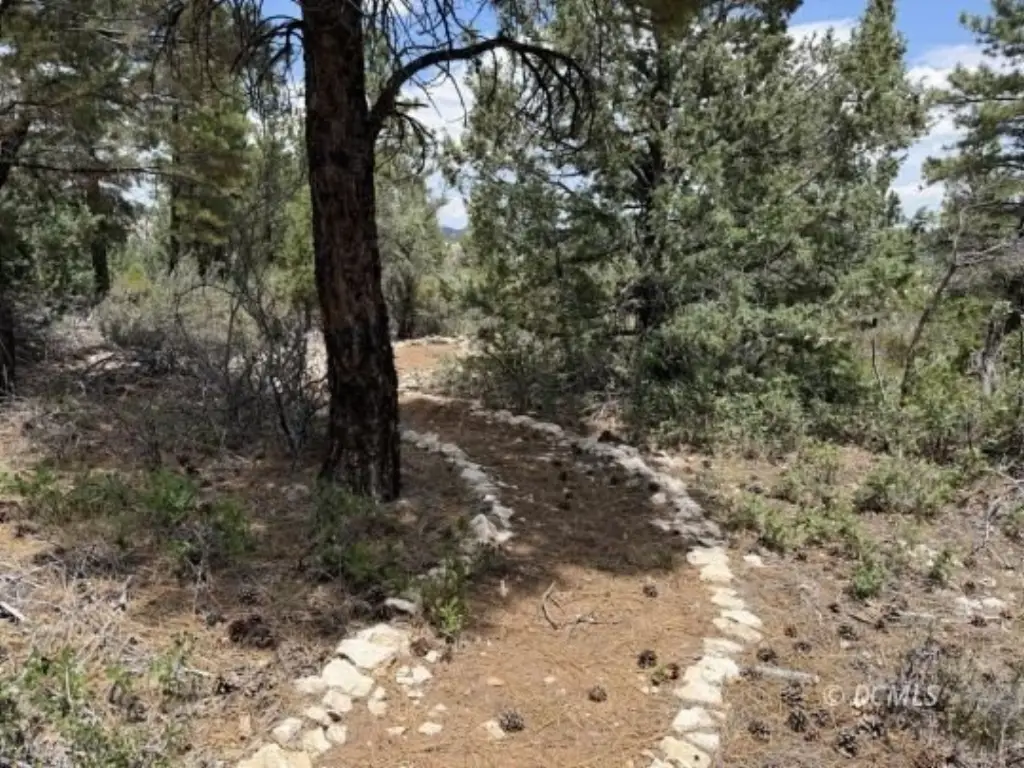 Picture 35
