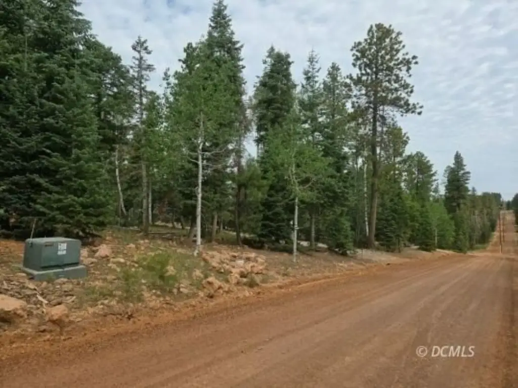 Picture 13